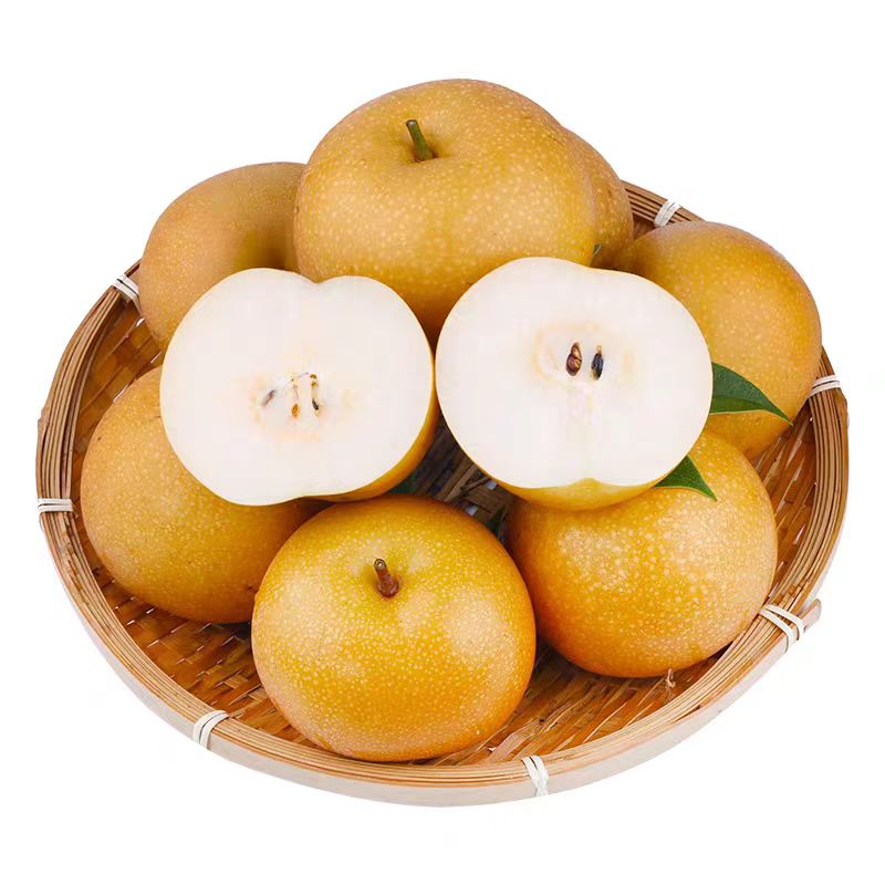 山东莱阳秋月梨
