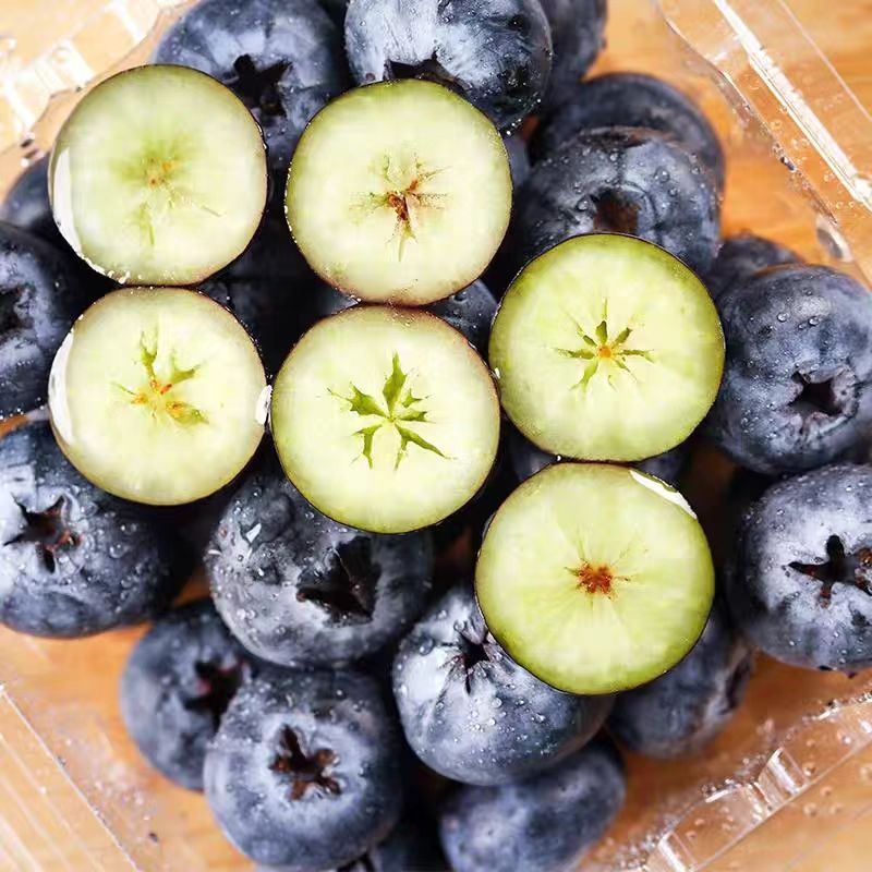 云南蓝莓L25花香蓝莓
