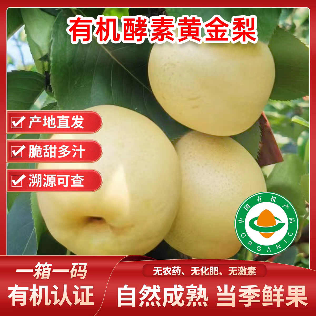 有机黄金梨新鲜梨子脆甜爆汁细腻无渣孕妇水果