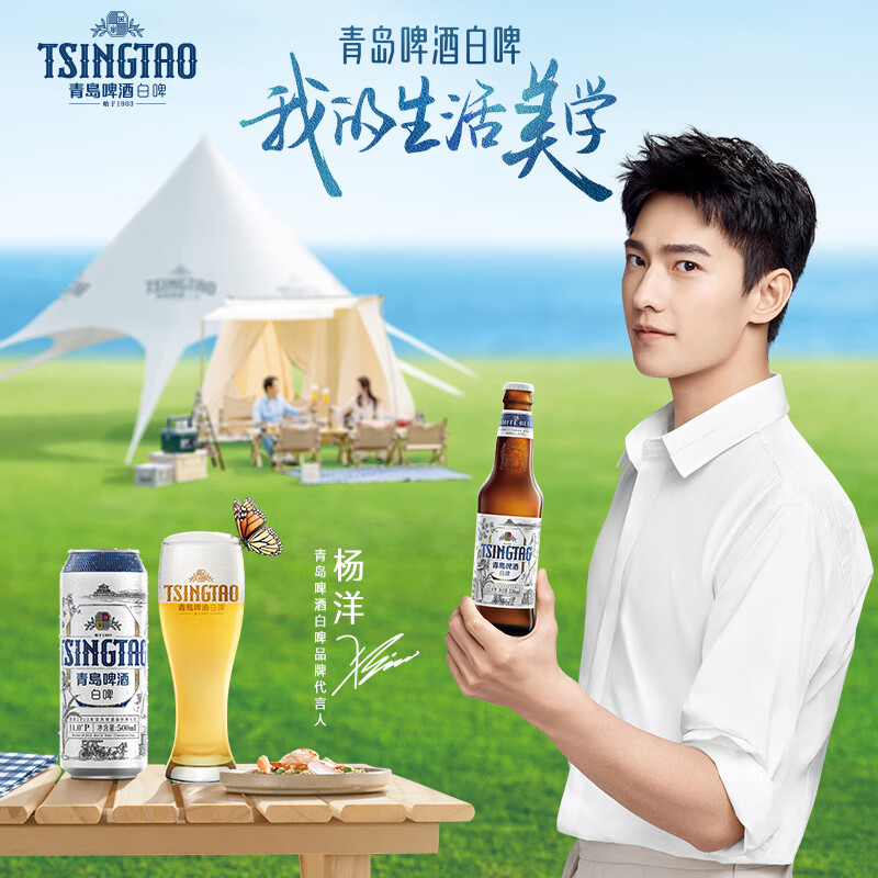 青岛啤酒（TsingTao）全麦白啤(2020版) 10度500ml*12瓶 整