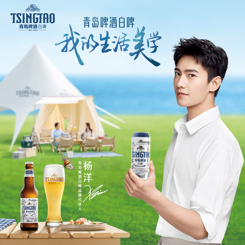 青岛啤酒（TsingTao）白啤11度500ml*10听 礼盒装罐啤（20版）（