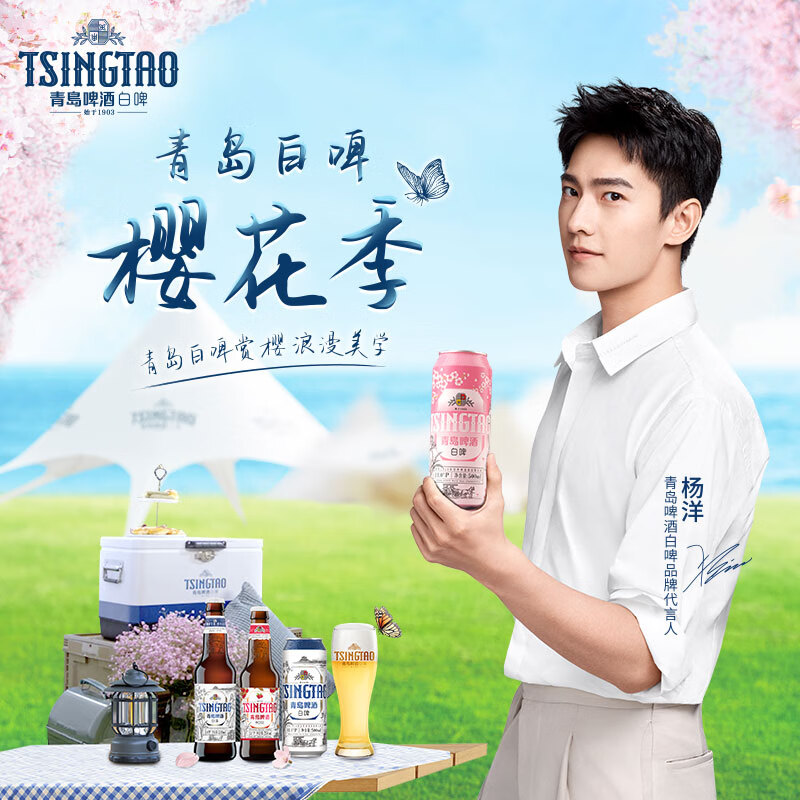 青岛啤酒（TsingTao）全麦白啤(2020版) 11度 500ml*12听 