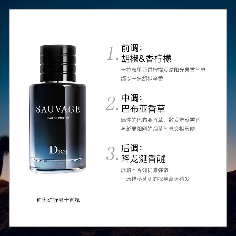 迪奥（Dior）旷野男士浓香氛 100ml (广袤旷野 肆意奢浓 送男友 生日礼