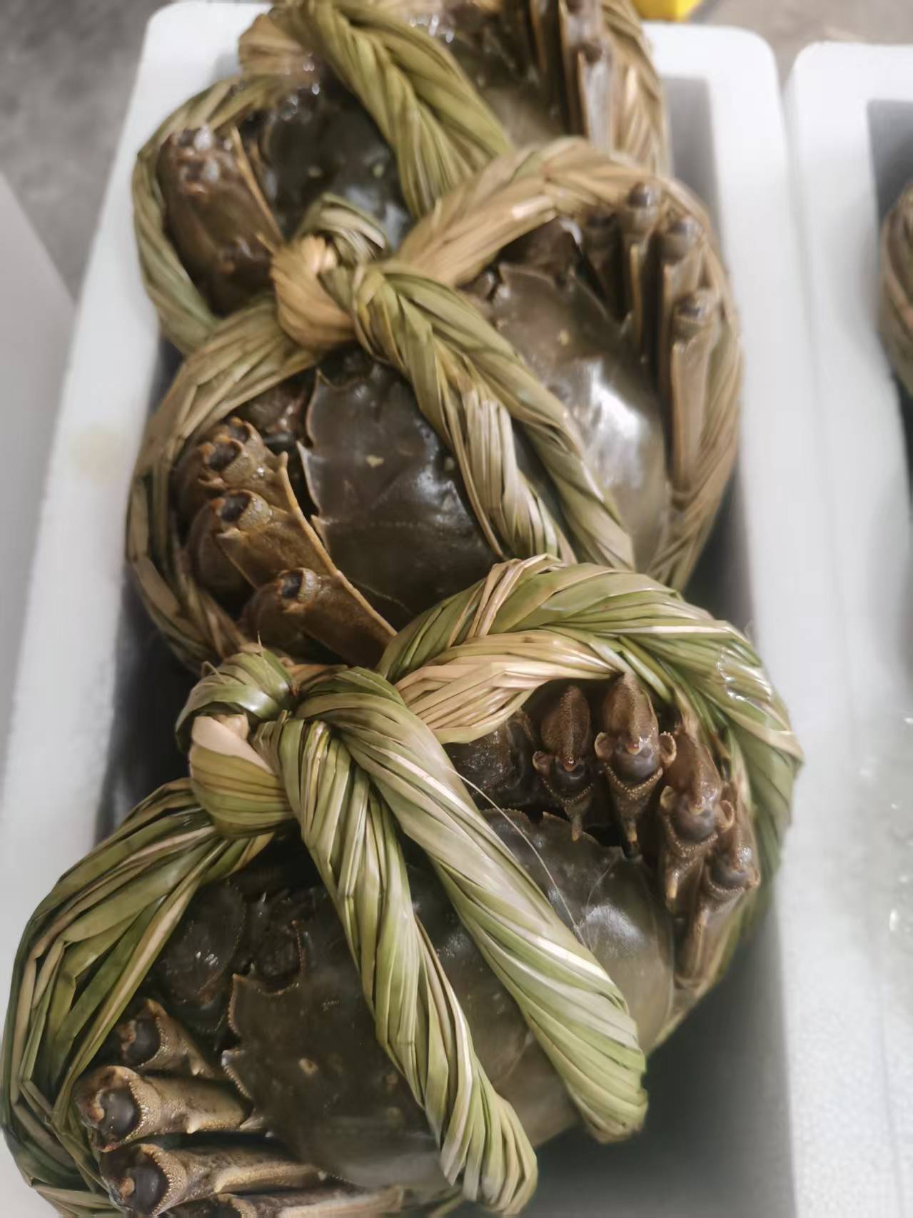 2.5两母3两公10只（包邮）