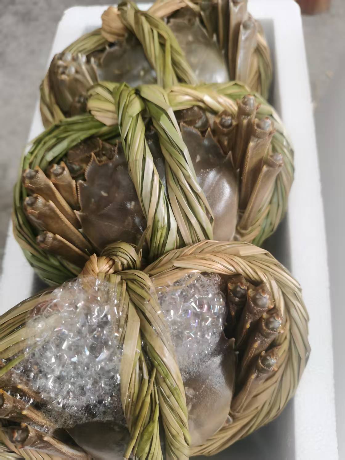 3.5两母 10 只 （  包邮）   