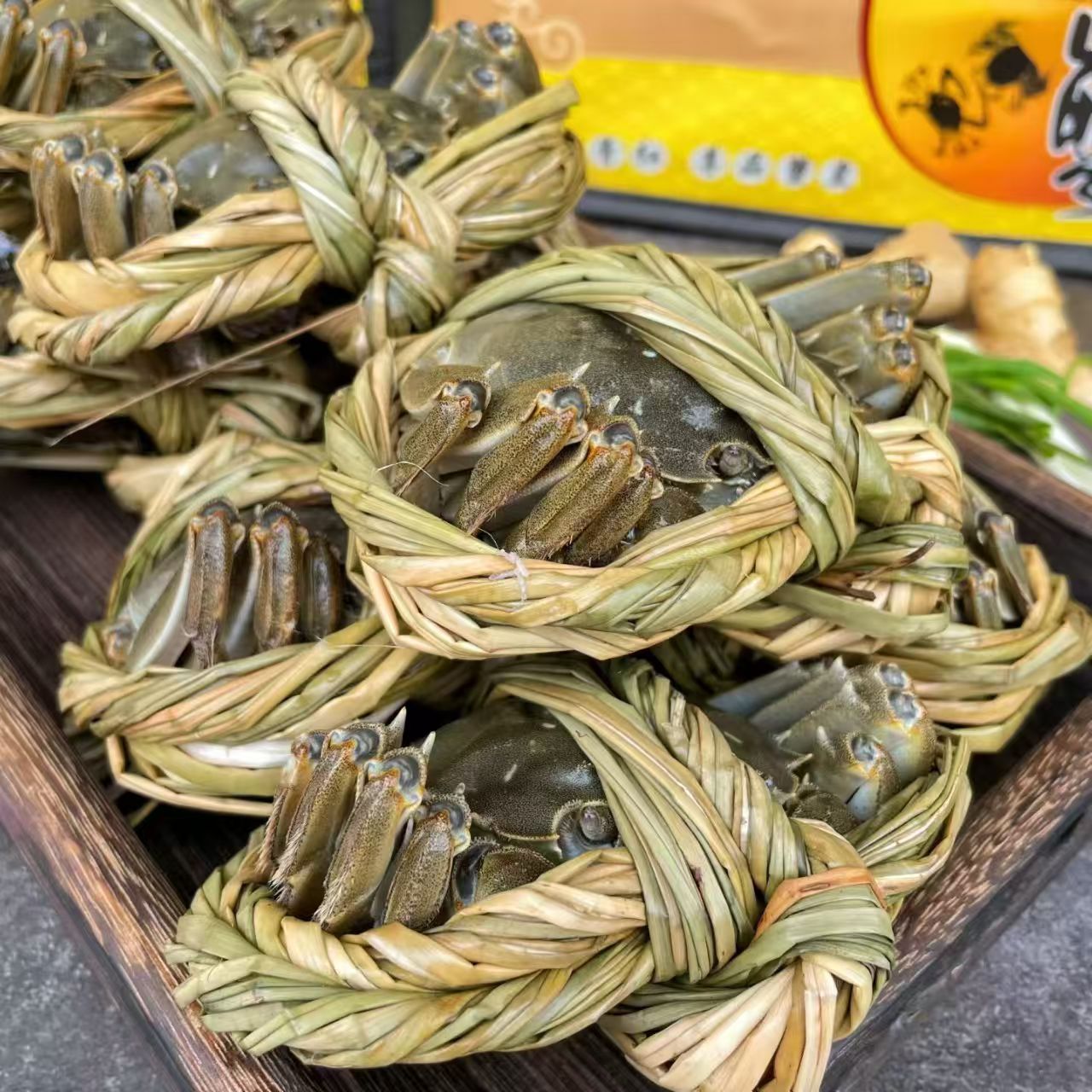 2.8两母10只 （包邮  ） 