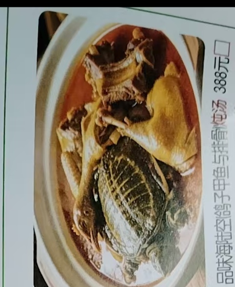 品味海陆空（鸽子.甲鱼与排骨）炖汤