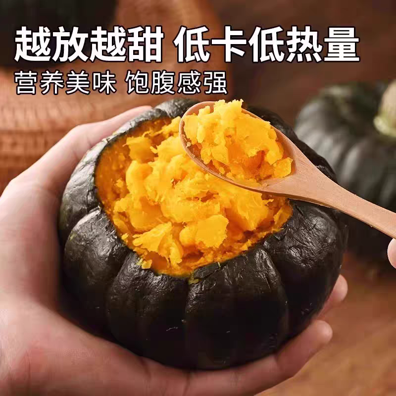 贝贝小南瓜