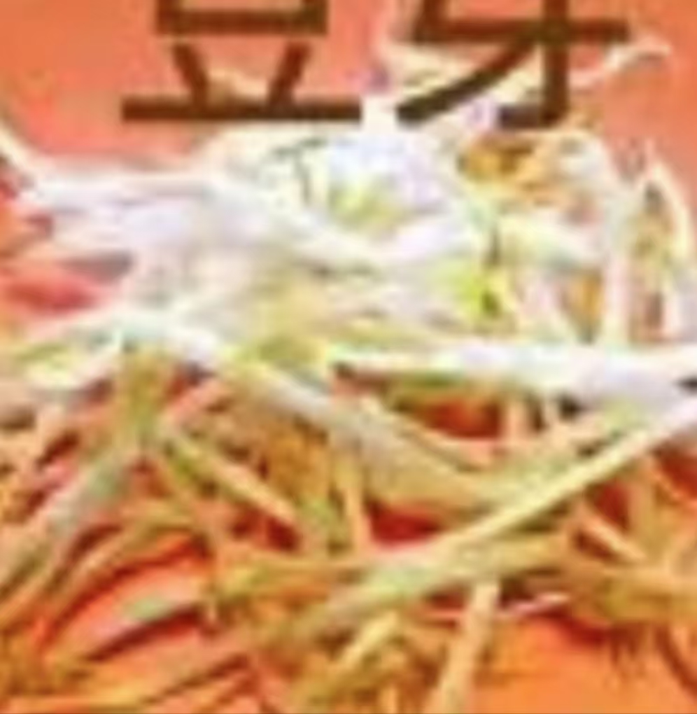 绿豆芽